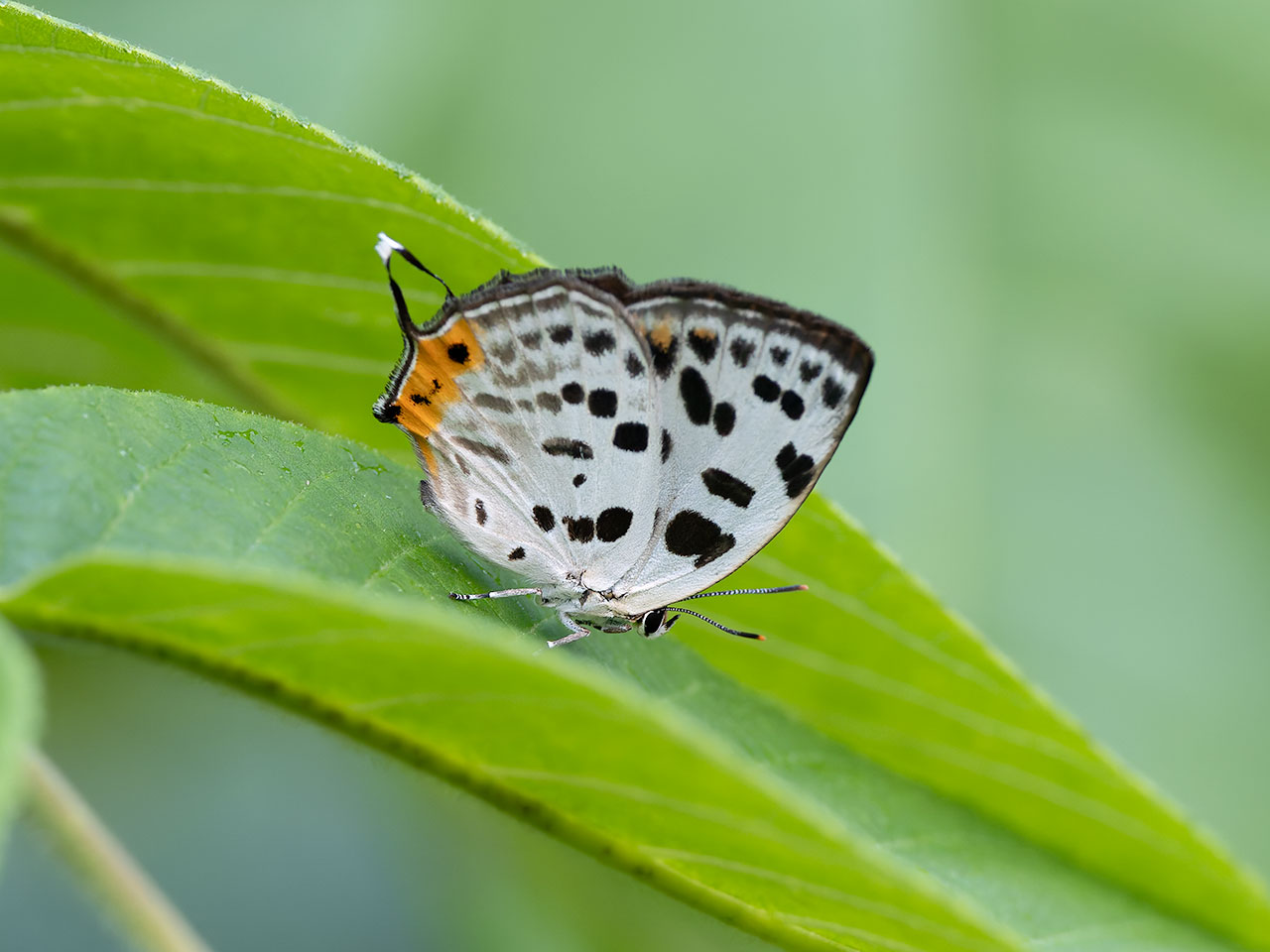 20260726_2