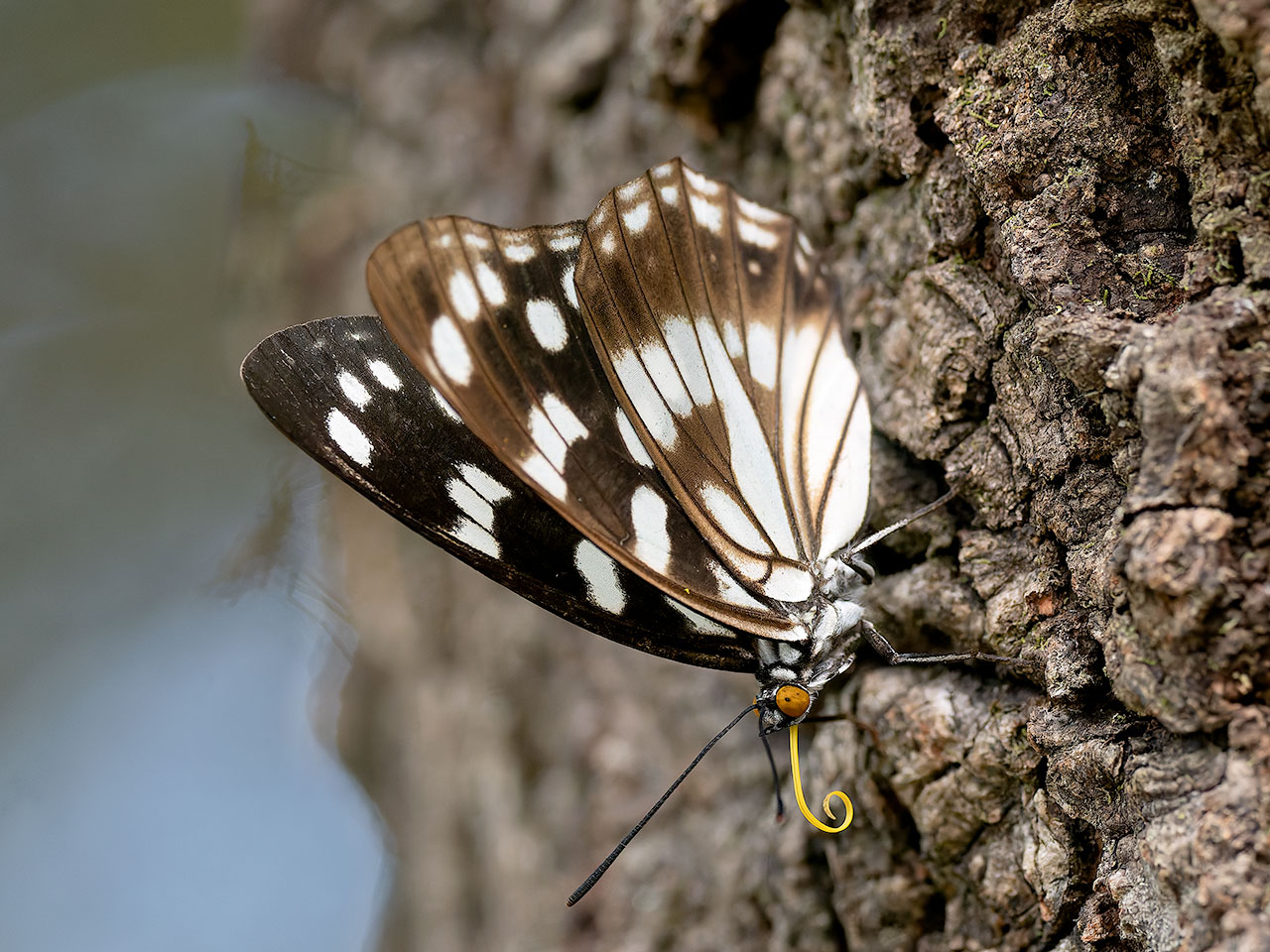 20260830_22